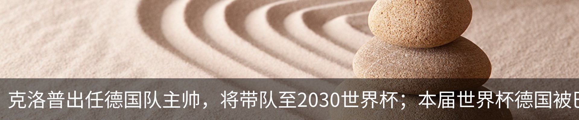资讯动态