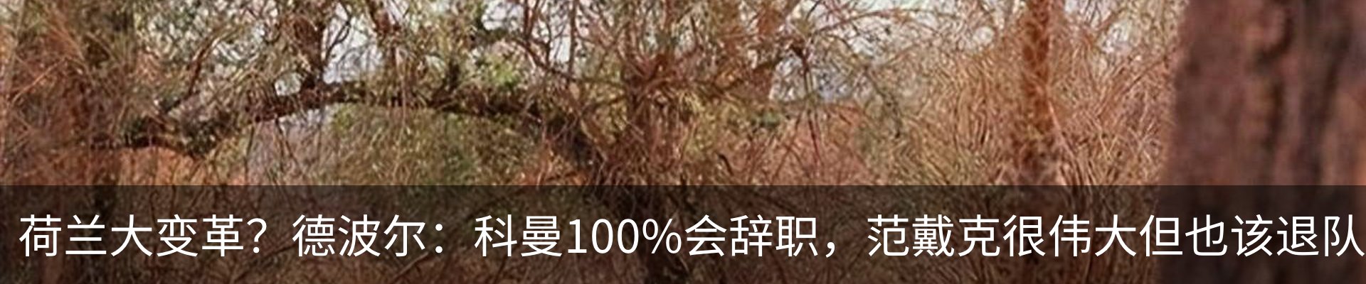 资讯动态